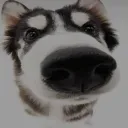 tyzer7532