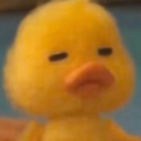 avatar Duckie 🐤