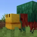 02264