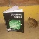 sapoalgebrista