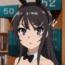 va13