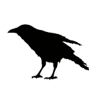axcell_d