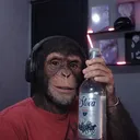 guizi_hp7x