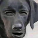 avatar ℒ𝑒𝓎✨🧚🏻♀