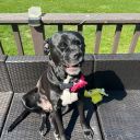 pimpologist#8017's avatar