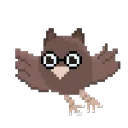 aukasz