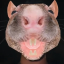 avatar Iceteaghreen (paper hater)