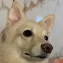 anu_