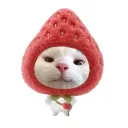 naomiryu avatar