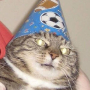 CatBot