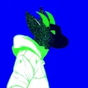 raph06028