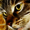 rafaelodali's Avatar