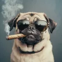 Аватар natalya5304