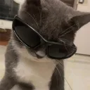 moizzerrellacheese avatar