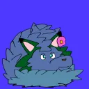 snowy_otter1
