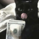 avatar :DD:D:D:D:D:D:DD:D:D:D:D: