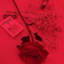 avatar 𝐇̷𝙖̷̷̷𝐫̷𝐯̷𝐞̷𝔂̷