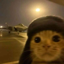 avatar 𝐇̷𝙖̷̷̷𝐫̷𝐯̷𝐞̷𝔂̷