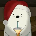 polarsan_