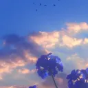 resonance_8