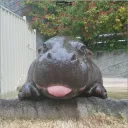zachhippoyt avatar