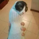 Аватар ynskick