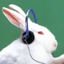 dawgsideofthemoon