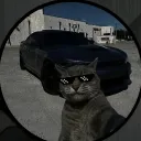 quentino99
