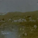 sivasparachile avatar