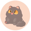 avatar 𝐇𝐢𝐤𝐚𝐚 🩷