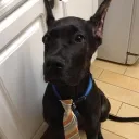 oscarthebartender