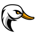 surliergoose7 member profile picture