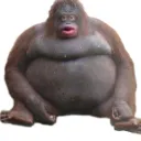 da.rexey