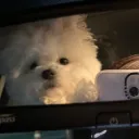 popopochiii