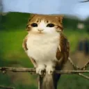 frogrine