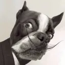 ghostbecon