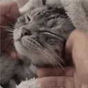 onlyevie