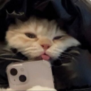 avatar 𝓒𝓱𝓮𝓵𝓵𝓲