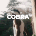 cbrrx