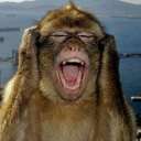 avatar ɴᴇᴍᴇꜱɪꜱ