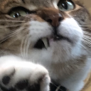 swag_master8925 member profile picture