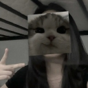 avatar Ara