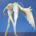 ankokii