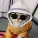 cami6571