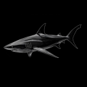 avatar ! 𝑬𝒚𝒂𝒅.