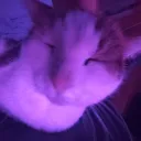 hypnomacka