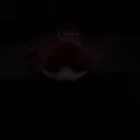 josef_120