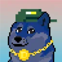 dpupperr