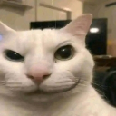 avatar !                            ret