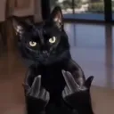 swirrrly